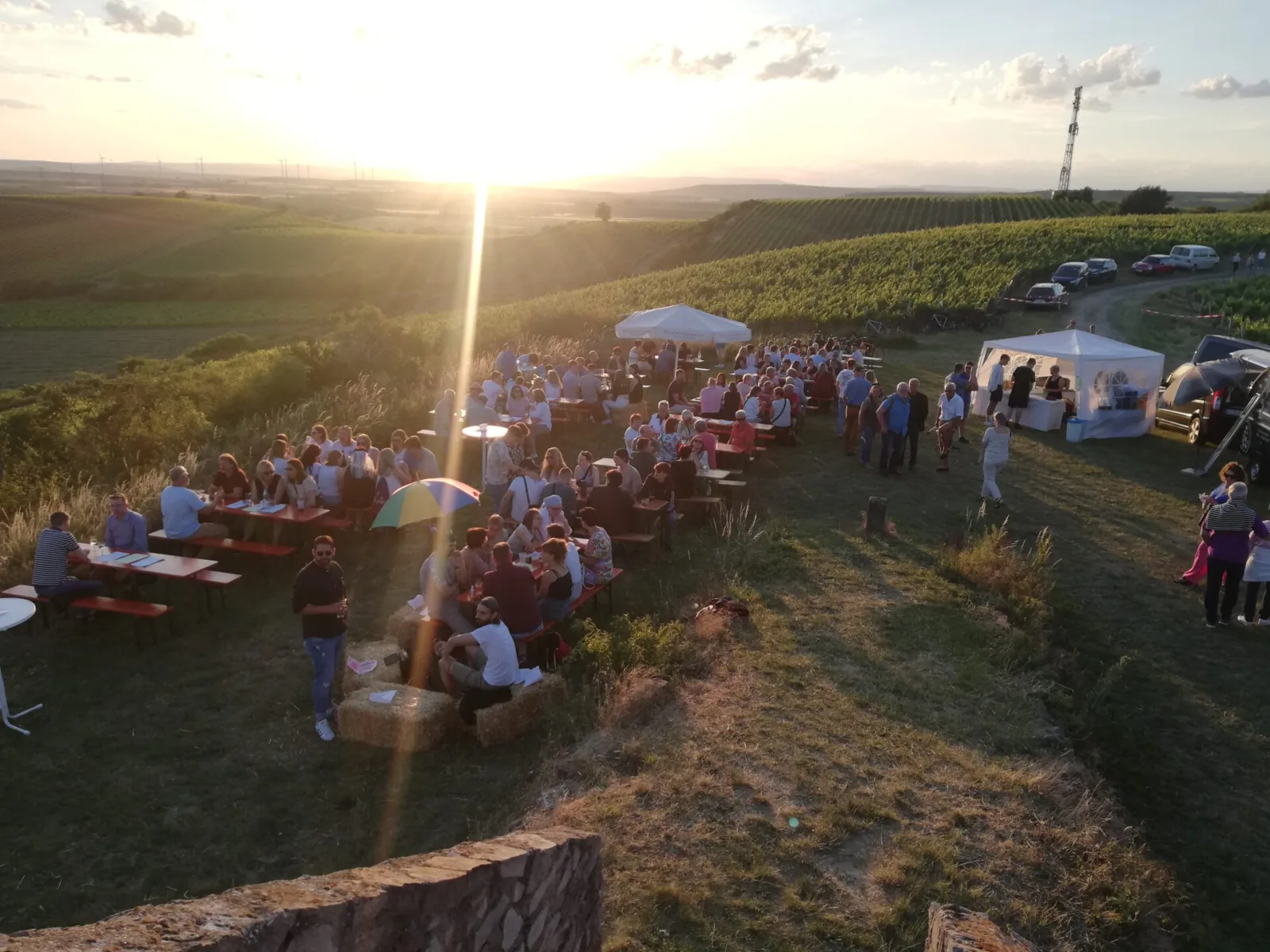 Weinfest am Turm bei Sonnenuntergang mit vielen Gästen in den Weinbergen