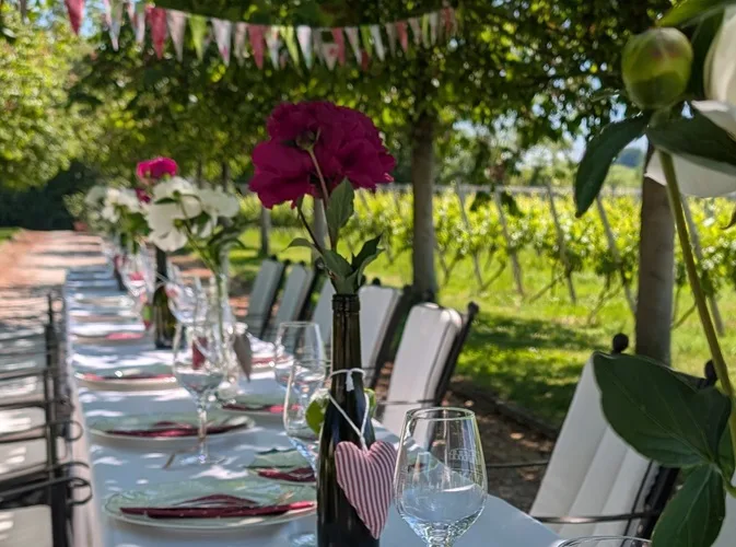 Festlich gedeckte Tafel unter Kastanienbäumen am Weinberg