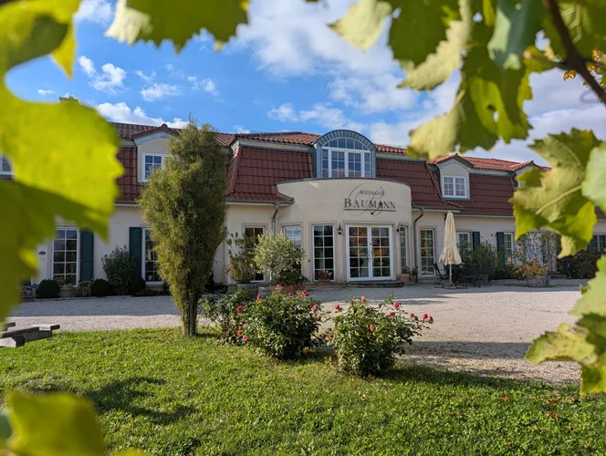 Das Weingut Baumann hinter Weinlaub bei blauem Himmel