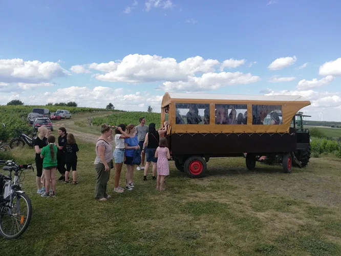 Besucher steigen am Rand der Weinberge in einen Planwagen